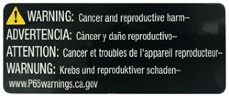 AEM Induction AEM 02-10 VW Touareg, 02-09 Porsche Cayenne Panel Filter 28-20857