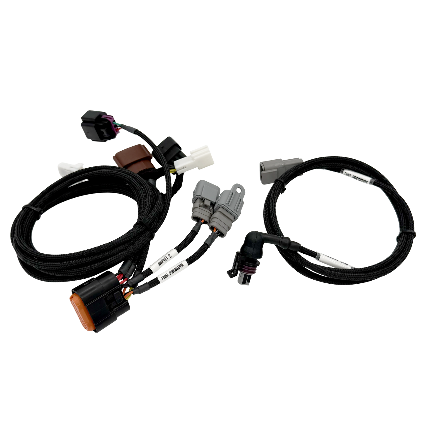 CANBOXPRO GTR IO Harness