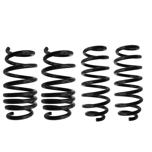2017-22 Tesla Model 3 Racing Front Rear Lowering Springs Suspension kit US