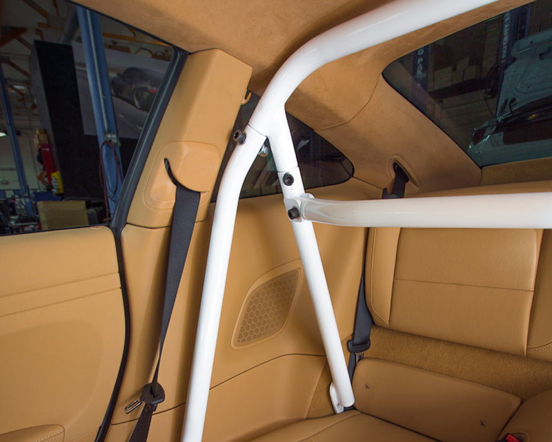 Agency Power Bolt-In Roll Bar Harness Bar Porsche 991 Carrera | Turbo 13-15 (*Specify Color*) AP-991-500
