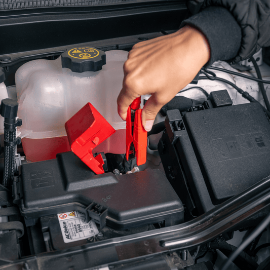 Alligator Clip and Ring Terminal Combo with Quick Disconnect