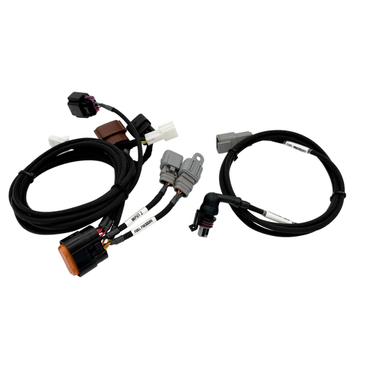 CANBOXPRO GTR IO Harness