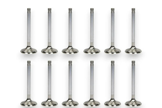 BMW E30 E34 E21 M20 M20B25 2.5 12V Compatible 12X New Upgraded Intake Exhaust Valves