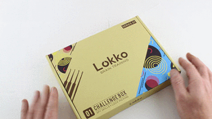 Lock Pick Set - Ideal for Beginners: Lock Picks by LOKKO, Practice Locks, Covert Kit + How-to Guide